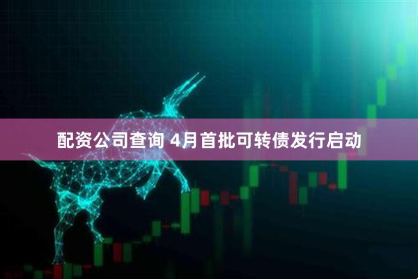 配资公司查询 4月首批可转债发行启动
